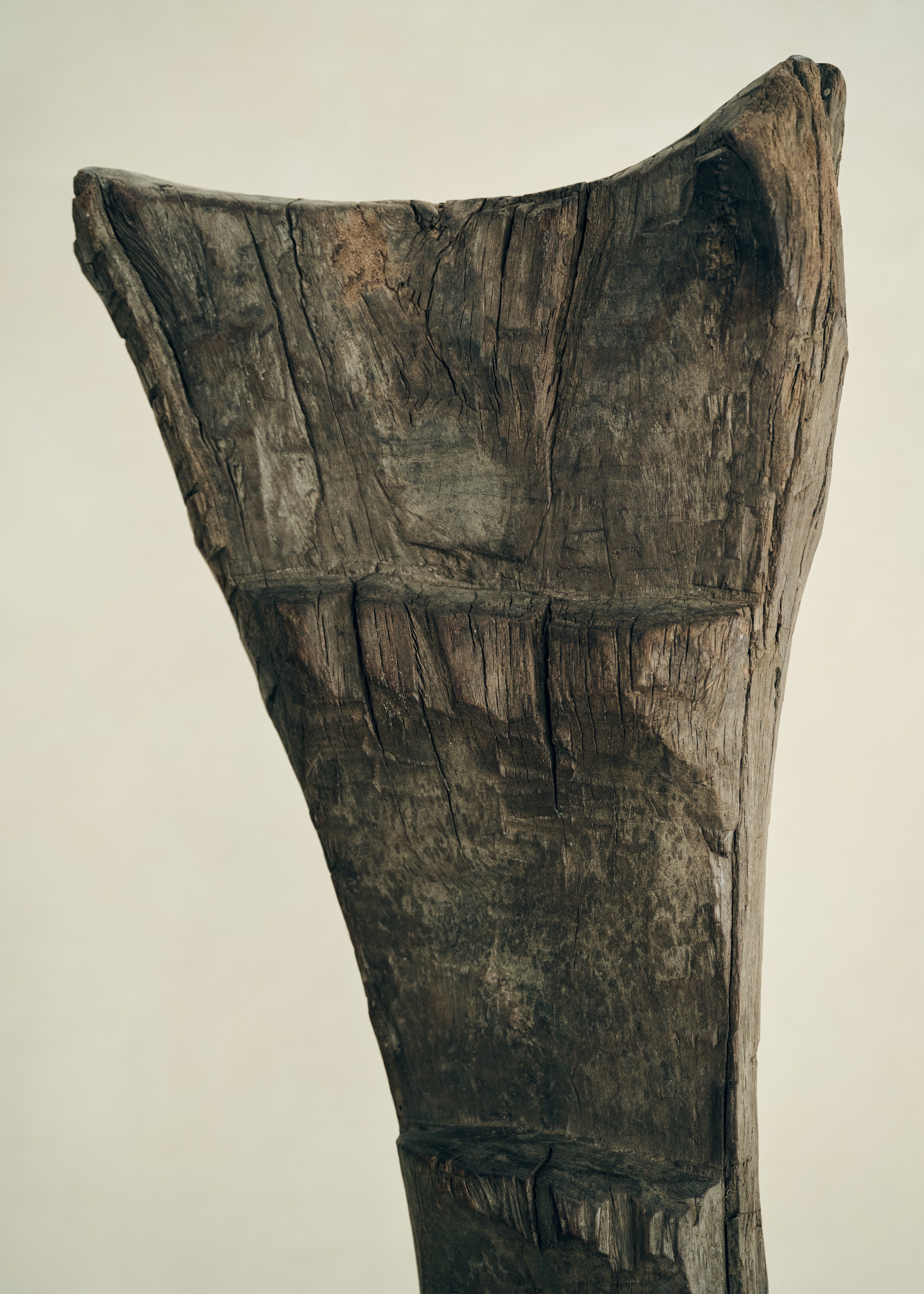 Dogon Ladder