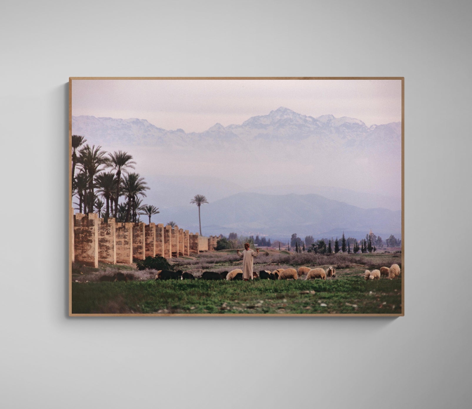 Shepherd In Marakesh