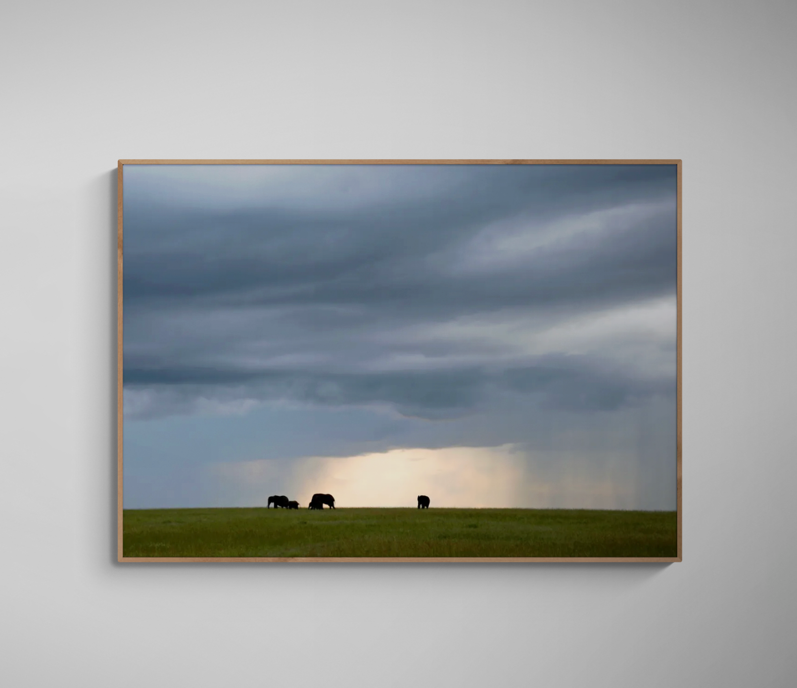 Elephants on the Maasai Plains